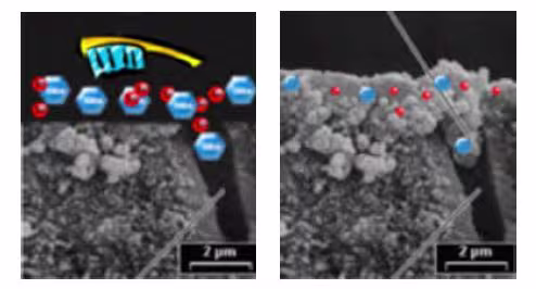 Dentinal tubule occlusion