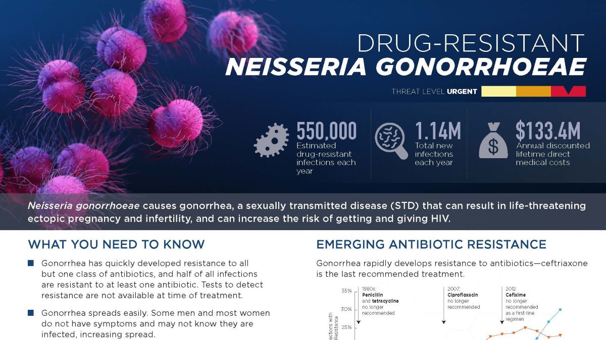 Drug-resistant Neisseria gonorrhoeae