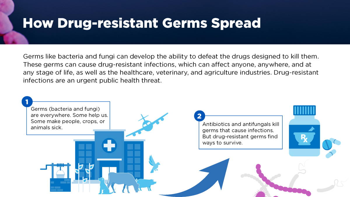 how ar spreads thumbnail