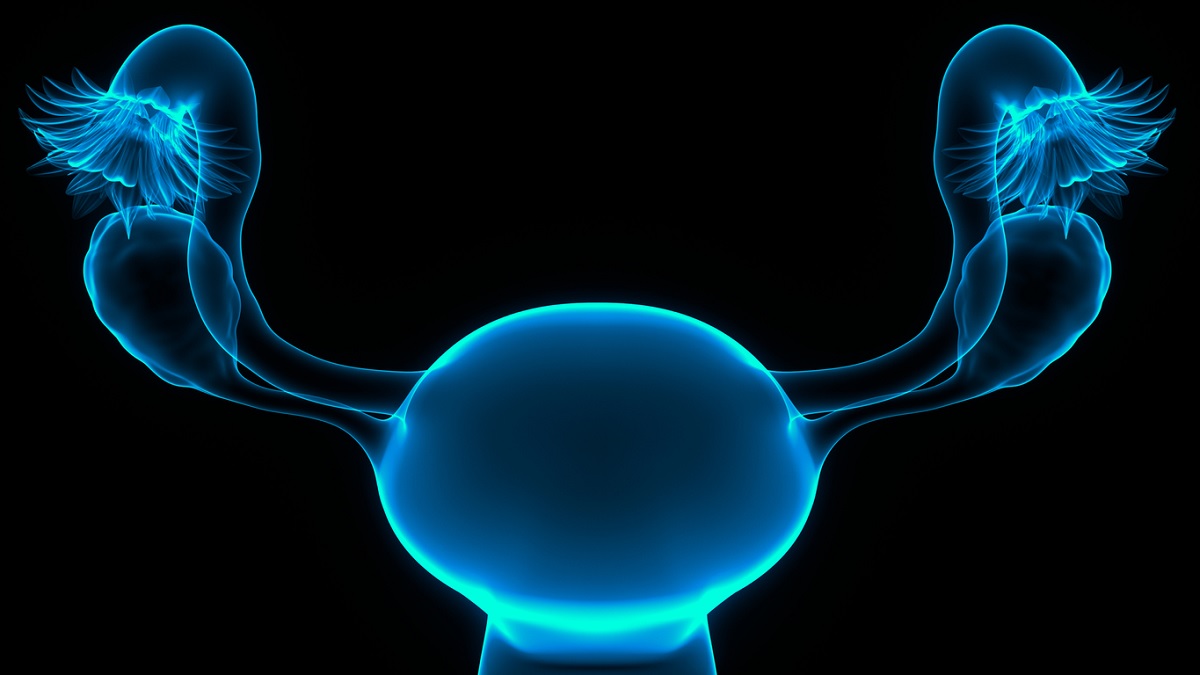 Medical illustration of the uterus