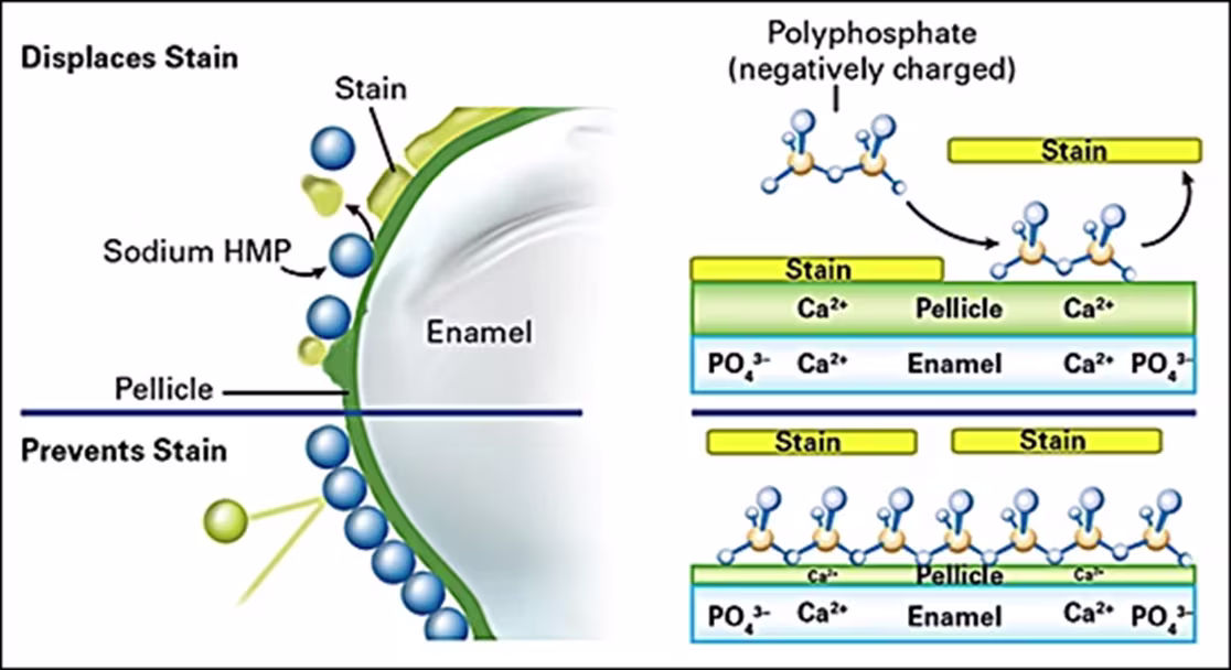 ce670 - Images - Fig. 19